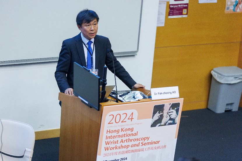 HK Wrist Course 2024- Seminar  - 207 of 257